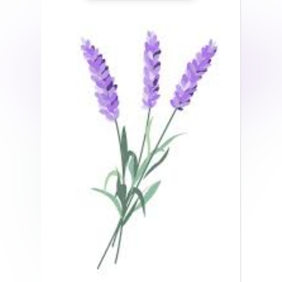 Trade 💜 - Picture 1 of 5